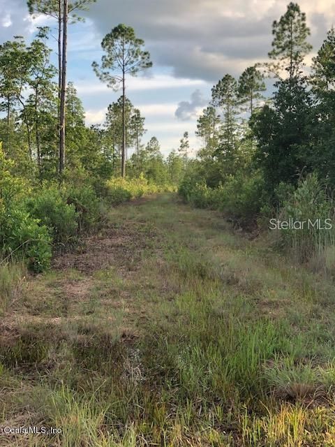 Recently Sold: $1,603,980 (297.36 acres)