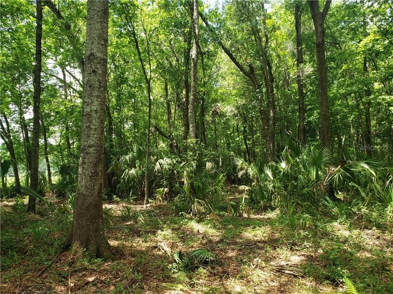 Recently Sold: $74,900 (10.00 acres)