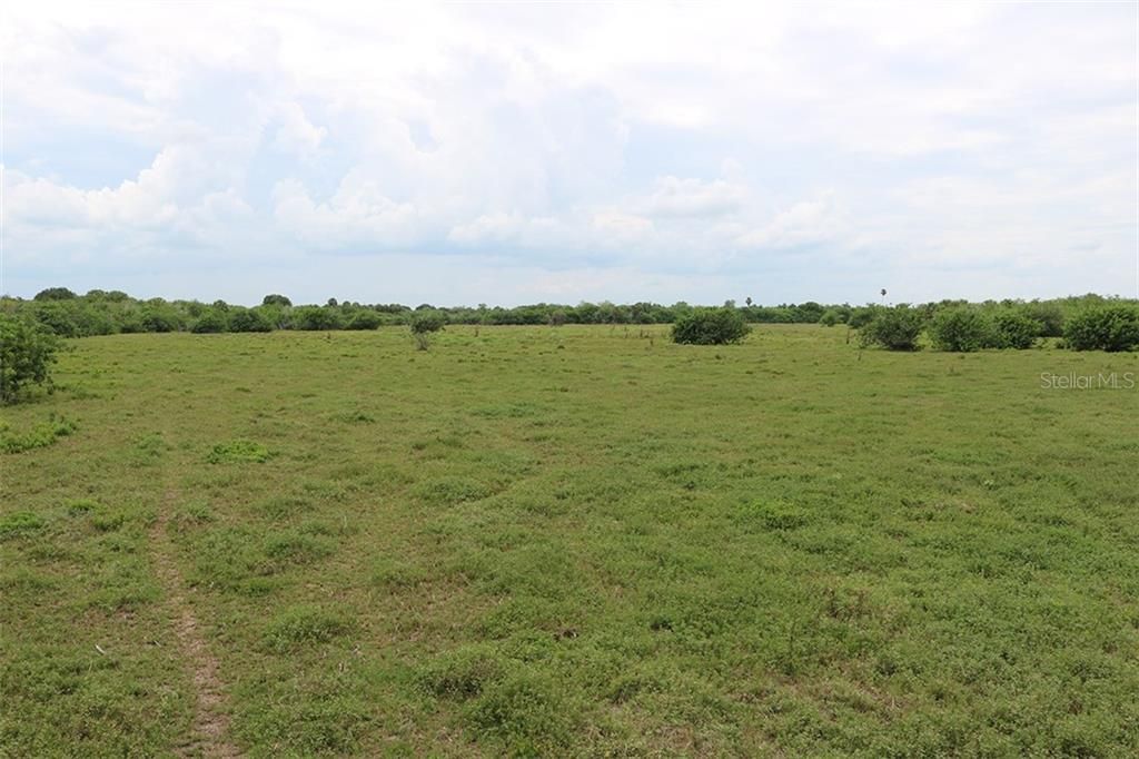 Recently Sold: $325,000 (54.10 acres)