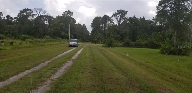 502 Palm Way lot cleared