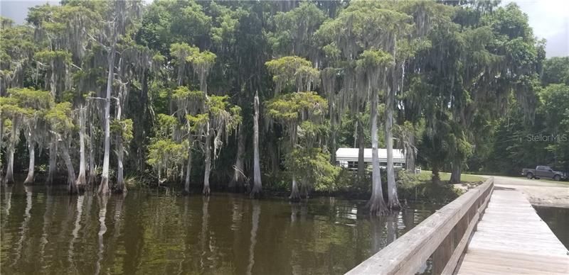 Dock area view