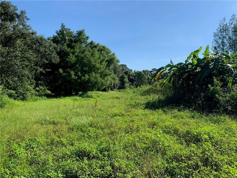 Recently Sold: $69,000 (10.11 acres)