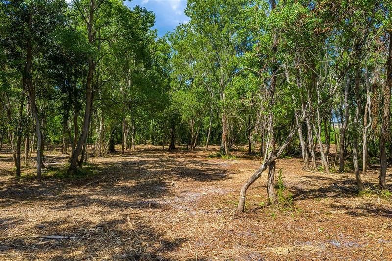 Recently Sold: $100,000 (1.40 acres)