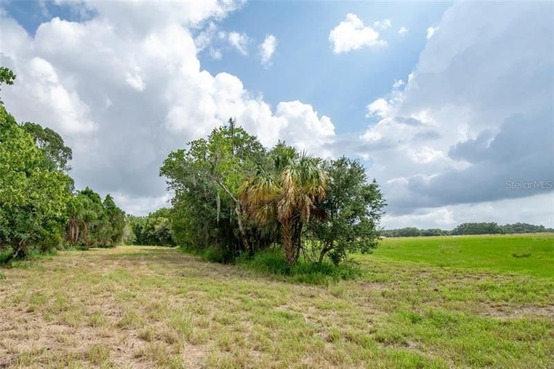 Recently Sold: $165,000 (6.20 acres)