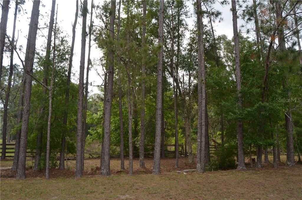 Vendido Recientemente: $69,999 (5.59 acres)