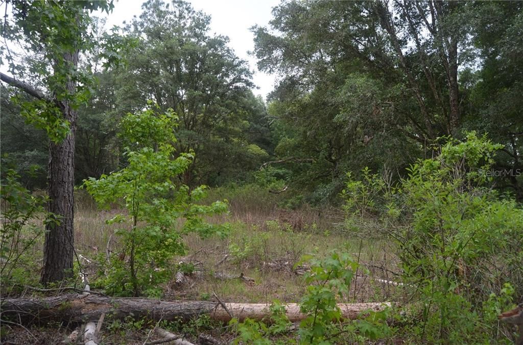 Vendido Recientemente: $69,999 (5.59 acres)