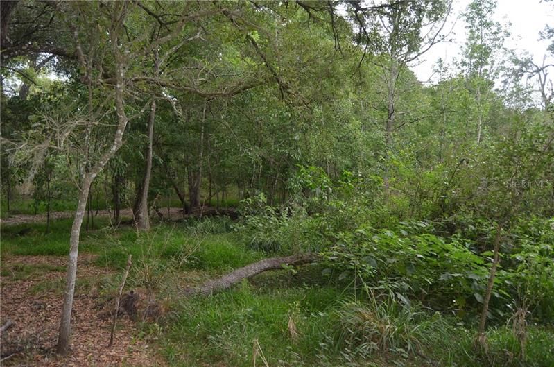 Recently Sold: $69,999 (5.59 acres)