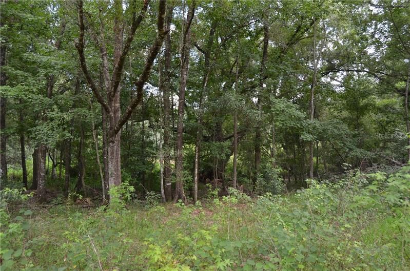 Recently Sold: $69,999 (5.59 acres)