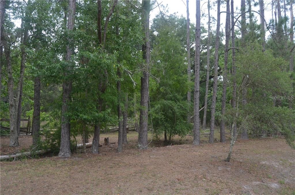 Recently Sold: $69,999 (5.59 acres)