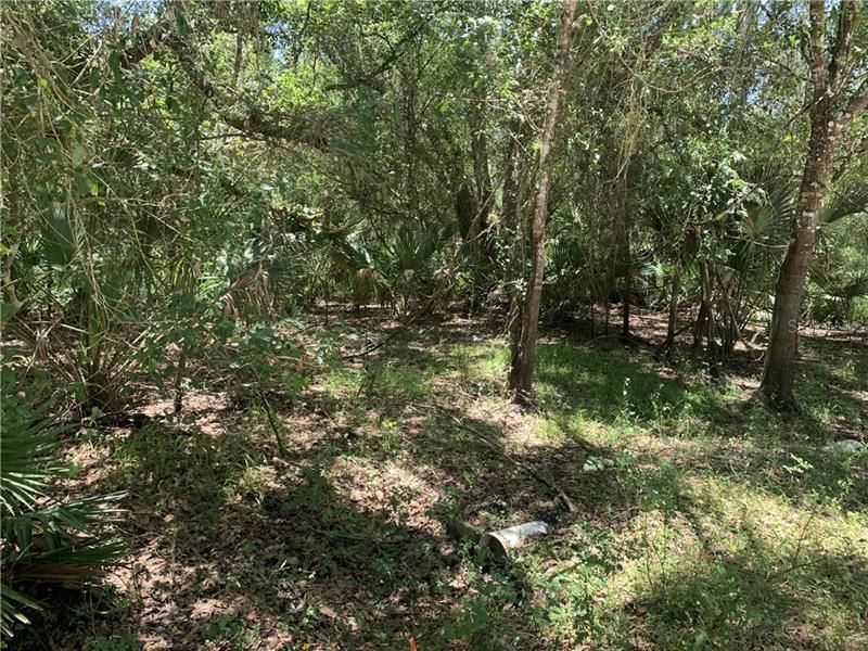 Recently Sold: $12,500 (1.25 acres)