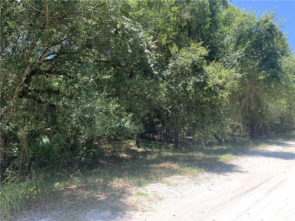 Recently Sold: $12,500 (1.25 acres)