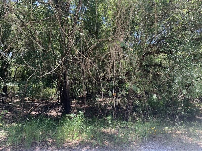 Recently Sold: $12,500 (1.25 acres)