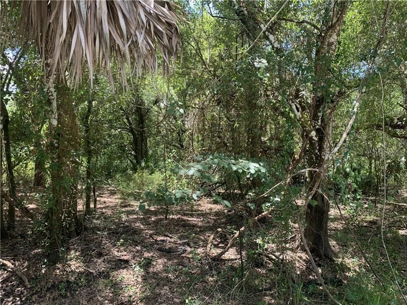 Vendido Recientemente: $12,500 (1.25 acres)