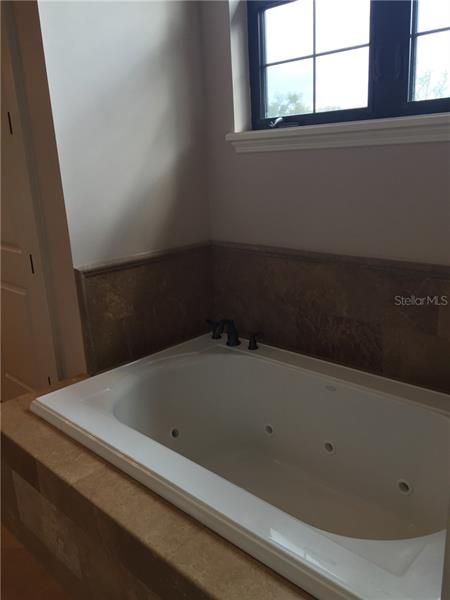 Master Bathroom Tub