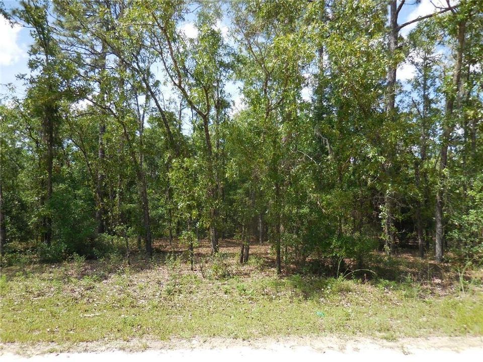 Recently Sold: $7,800 (1.00 acres)