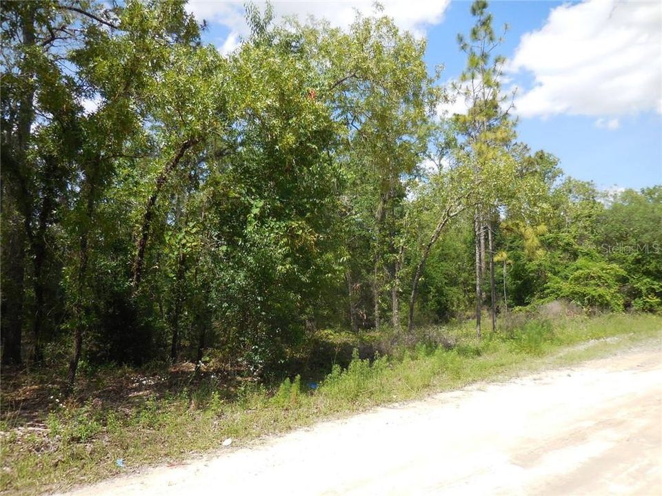 Recently Sold: $7,800 (1.00 acres)