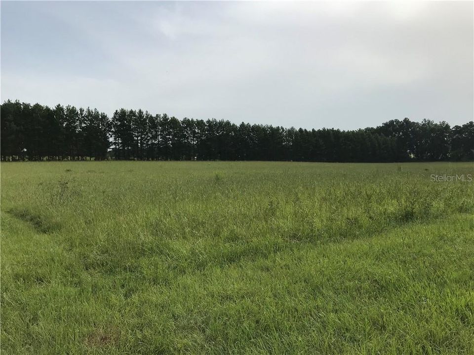 Recently Sold: $111,600 (6.20 acres)