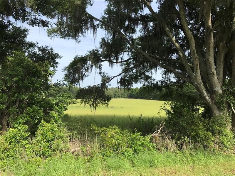 Recently Sold: $111,600 (6.20 acres)