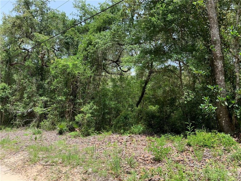 最近售出: $15,000 (0.27 acres)