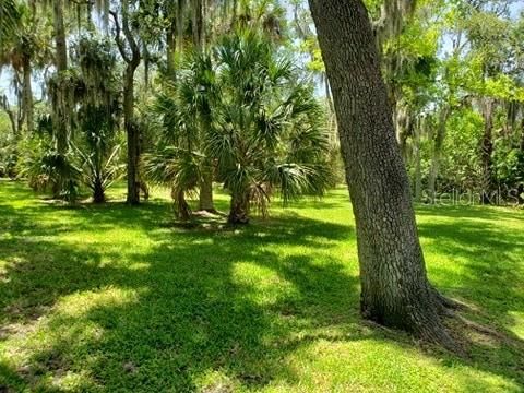 Beatiful pond front lot in super location!