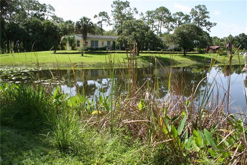 View of the home from the far side of the pond.  Pond has talapia, catfish, and some snapper.  A great White Heron makes a home at the pond.