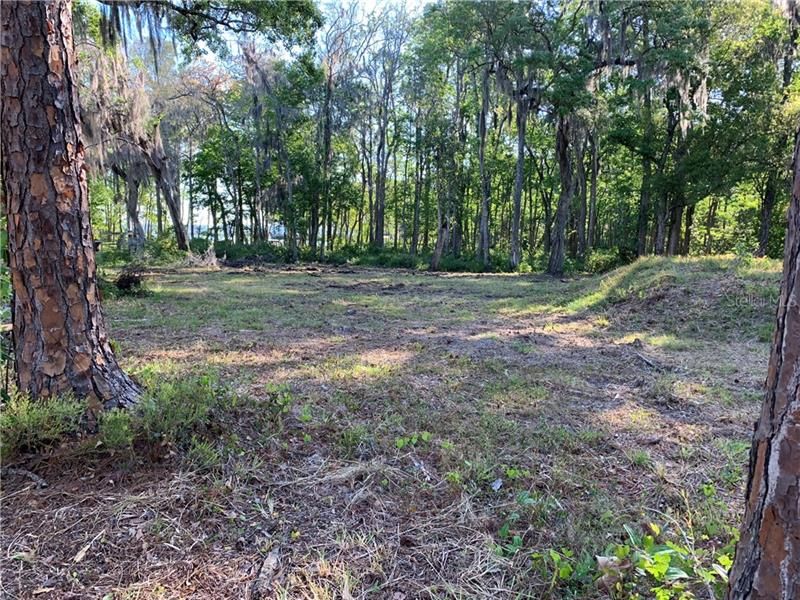 Recently Sold: $80,000 (1.75 acres)