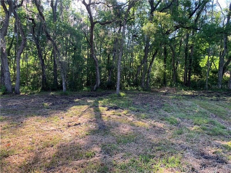 Recently Sold: $80,000 (1.75 acres)