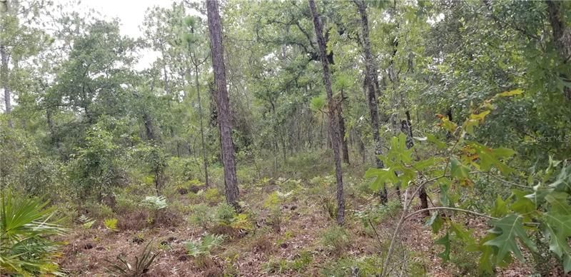 Недавно продано: $8,900 (0.57 acres)