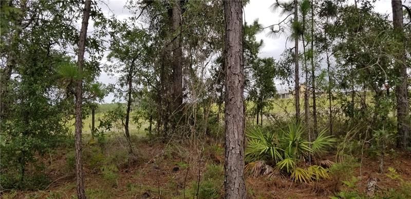 Recently Sold: $8,900 (0.57 acres)