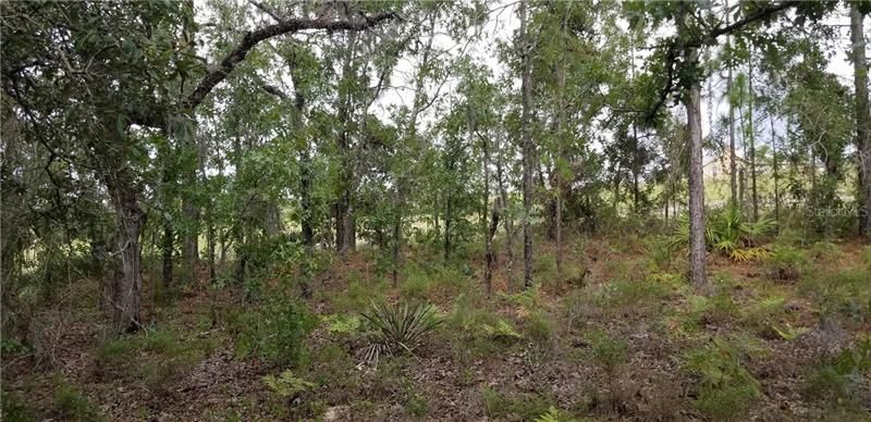 Recently Sold: $8,900 (0.57 acres)