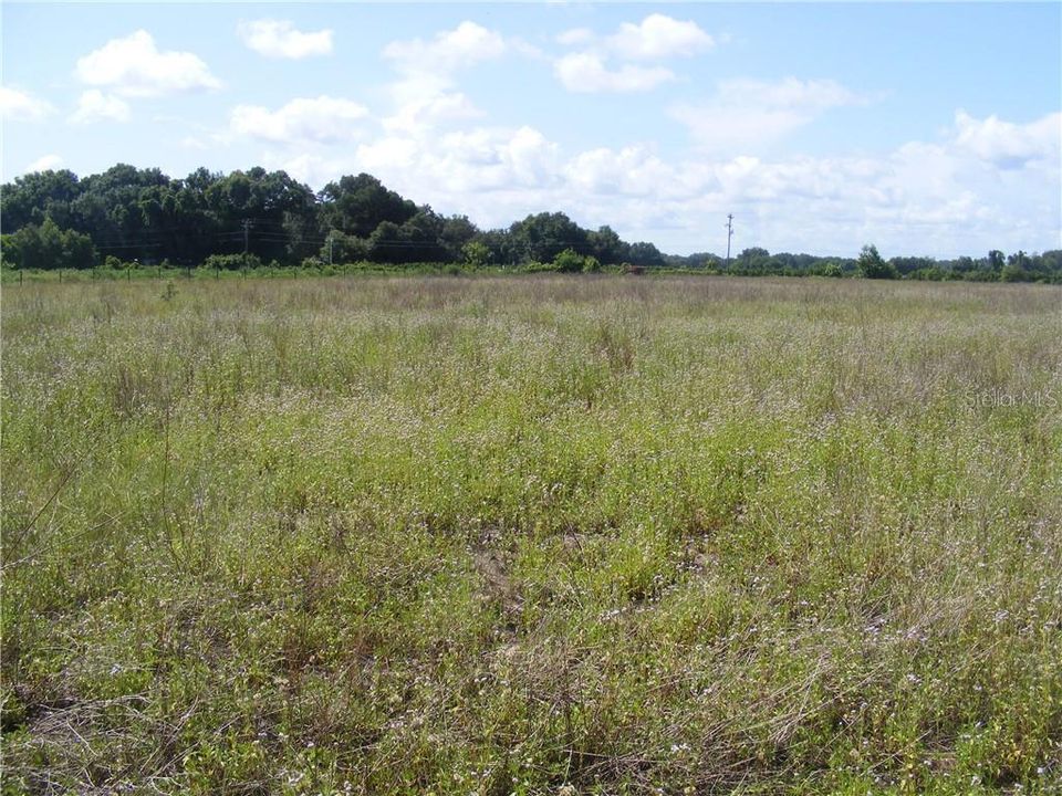 Vendido Recientemente: $60,000 (5.00 acres)