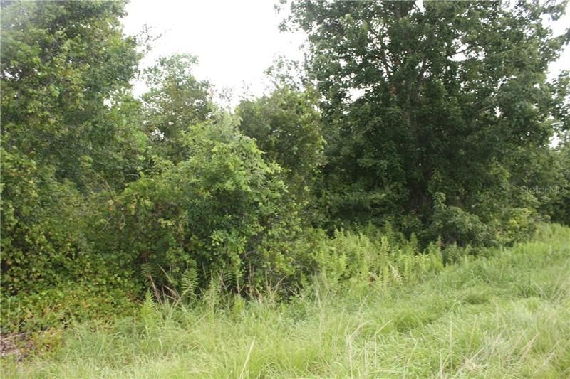 Recently Sold: $68,800 (3.16 acres)