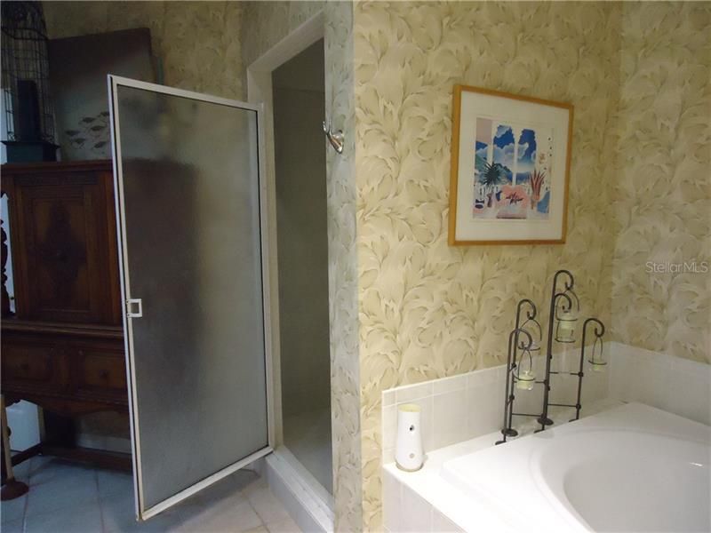 View of bath tub and shower stall.