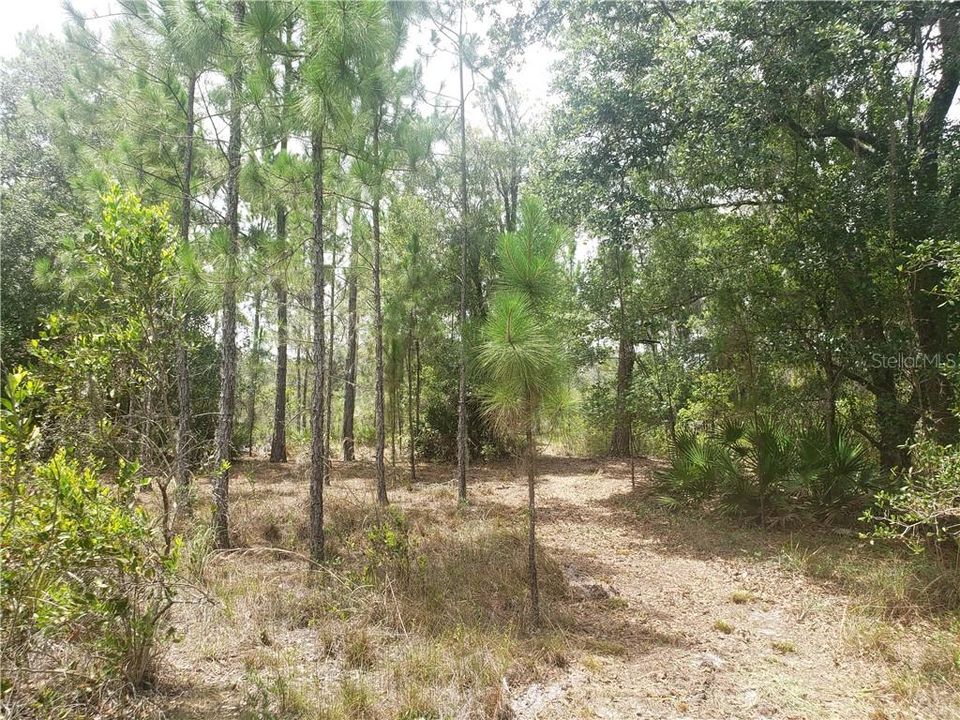 Vendido Recientemente: $69,900 (6.27 acres)