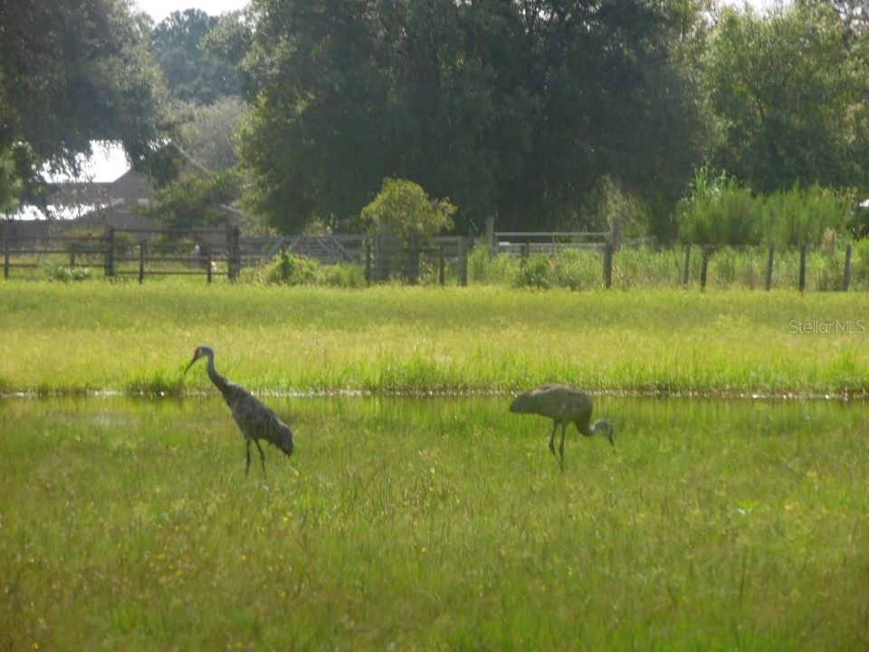 Недавно продано: $309,000 (20.00 acres)