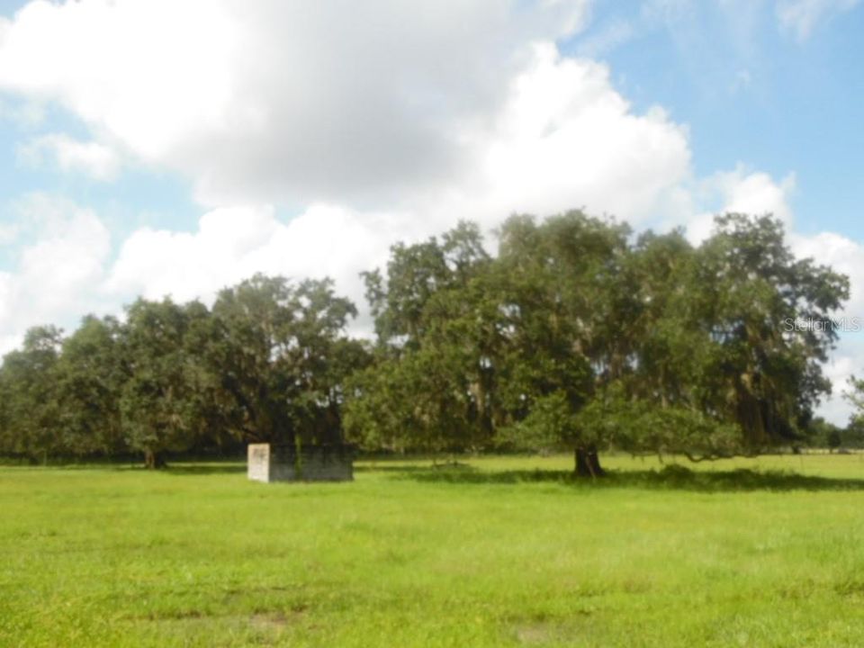 Recently Sold: $309,000 (20.00 acres)