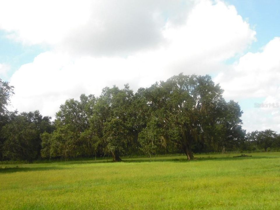 Recently Sold: $309,000 (20.00 acres)
