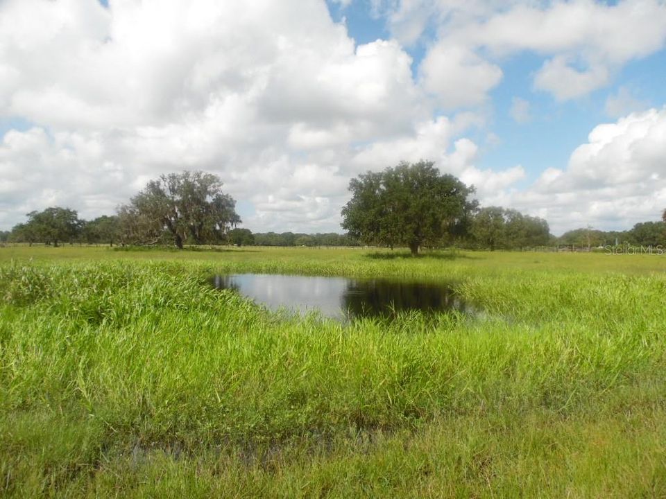 Recently Sold: $309,000 (20.00 acres)