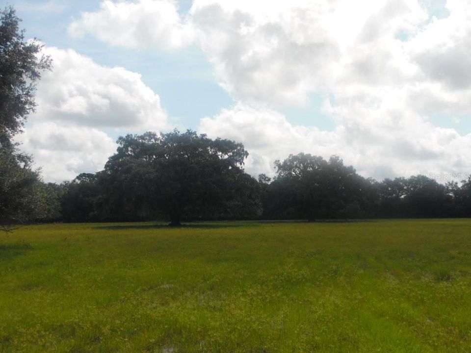 Recently Sold: $309,000 (20.00 acres)