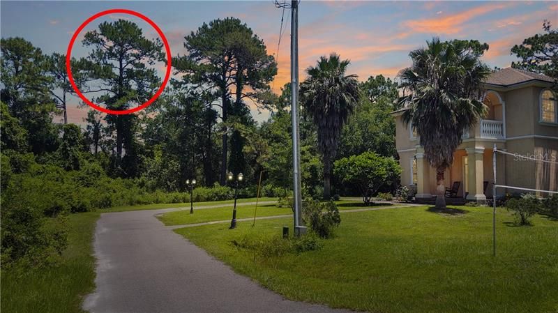 Red Circle shows the entrance to your Driveway and Access Road after you Build it! Your Access will CONTINUE this Road one Lot Further, your new Dream Home will be on the other side of the Trees just past home on the right... this home will be your ONLY Neighbor! Nice!