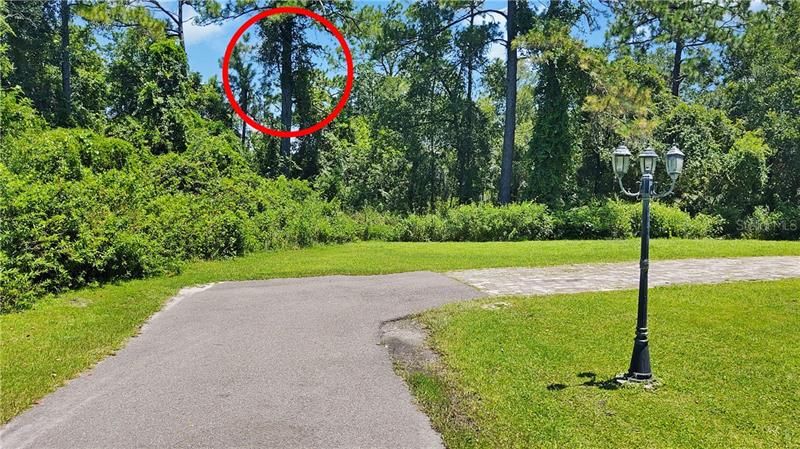 Red Circle shows the entrance to your Driveway and Access Road after you Build it! Your Access will CONTINUE this Road 1 Lot Further, your new Dream Home will be on the other side of the Trees behind the Light post.