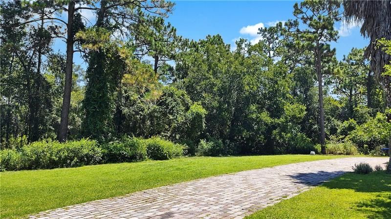 View of the South side of your Property line from the Street in front of your ONLY Neighbor...Your home will go center of Picture behind the TREES!