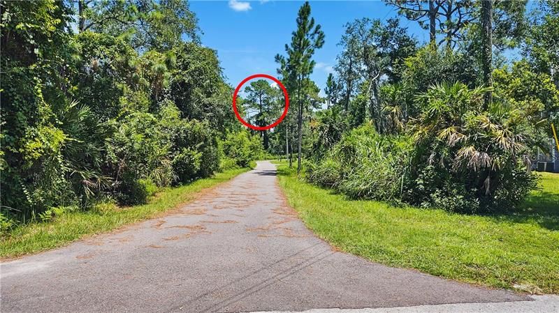 Looking down STEELE from Franklin. Red Circle shows the entrance to your Driveway...this will be your View Arriving Home to your new Dream House every day!