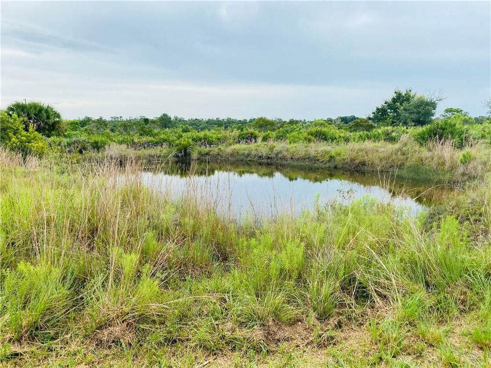 Недавно продано: $85,000 (7.50 acres)