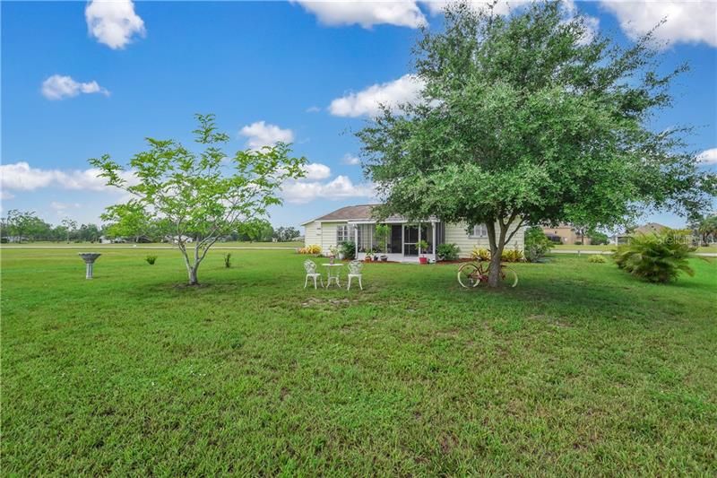 Large Backyard