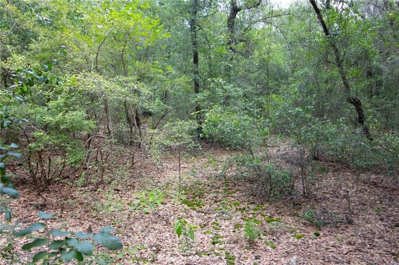 Recently Sold: $24,900 (2.21 acres)