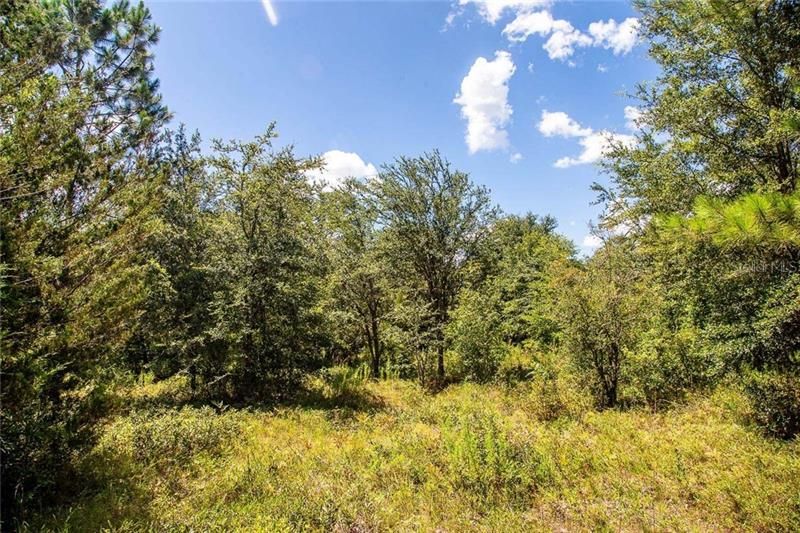 Recently Sold: $66,500 (10.04 acres)