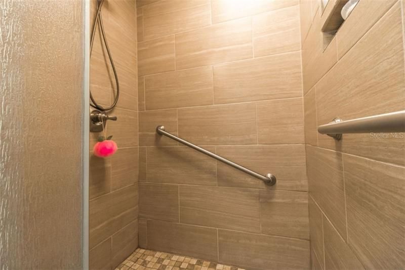 Main Bedroom Shower support bars