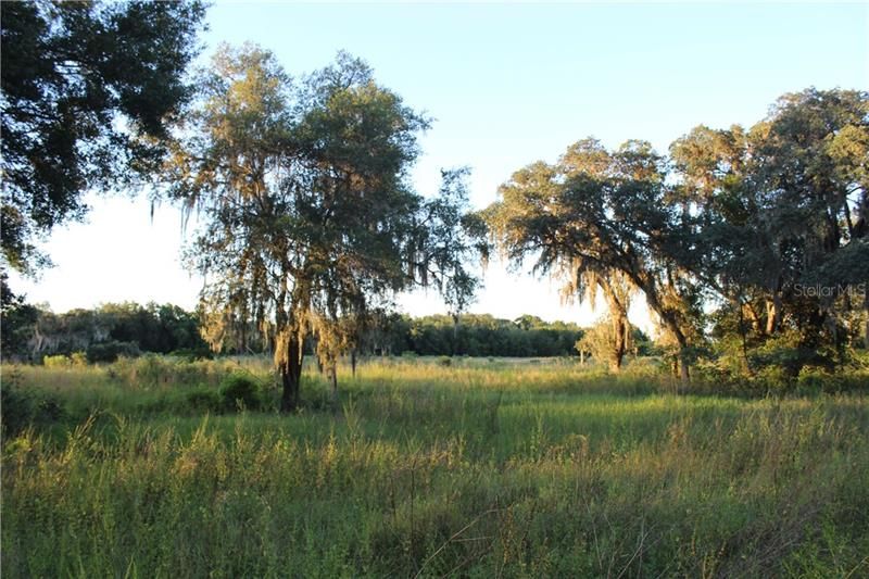 Recently Sold: $119,000 (10.00 acres)