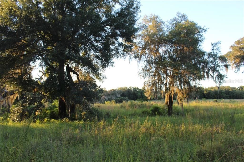 Recently Sold: $119,000 (10.00 acres)